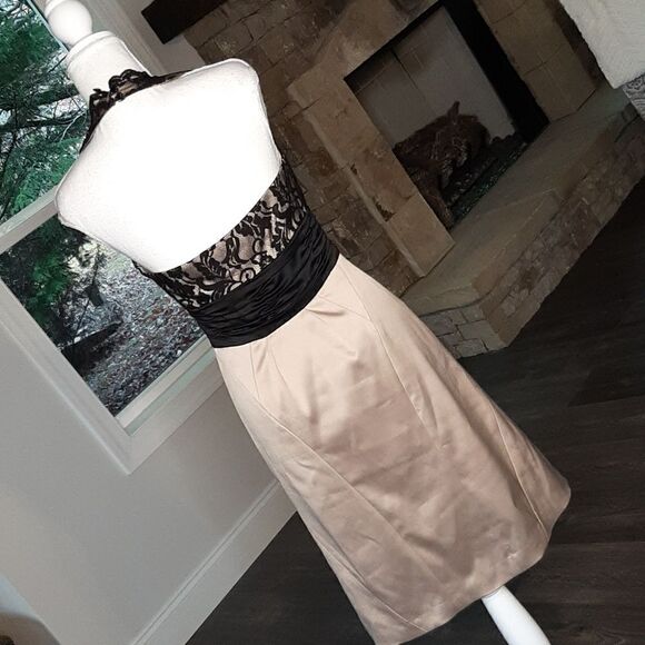 Max & Cleo New Open Back Zip Side Lined Lace Bodice Dress - Picture 4 of 15